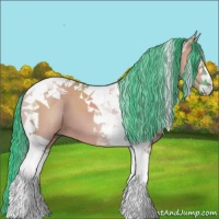 Horse Color:Watercolor Grullo Tobiano 