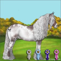 Horse Color:White Spotted Chocolate Silver Blue Onyx Chinchilla 