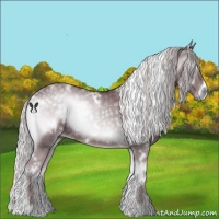 Horse Color:White Spotted Chocolate Silver Blue Onyx Chinchilla 