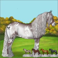 Horse Color:White Spotted Chocolate Silver Blue Onyx Chinchilla 