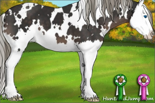 Horse Color:White Spotted Liver Chestnut Mushroom Sabino Splash