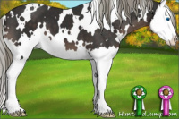 Horse Color:White Spotted Liver Chestnut Mushroom Sabino Splash 