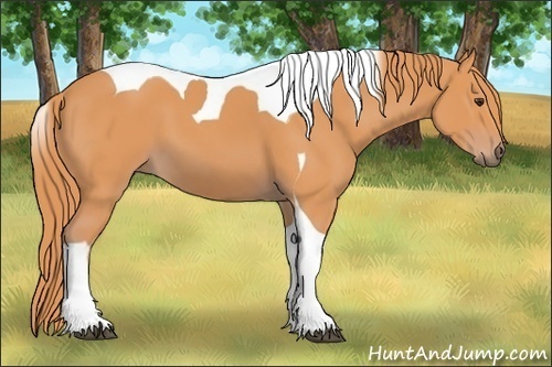 Horse Color:Watercolor Chestnut Tobiano 