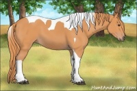 Horse Color:Watercolor Chestnut Tobiano 