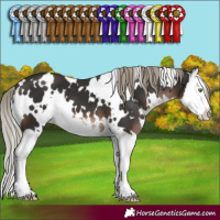 Horse Color:White Spotted Liver Chestnut Mushroom Splash 