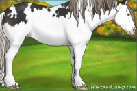 Horse Color:White Spotted Liver Chestnut Mushroom Splash 