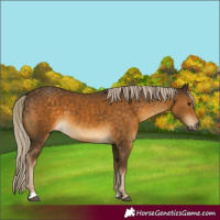 Horse Color:Chocolate Palomino Mushroom 