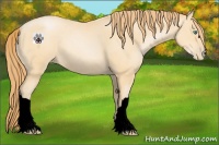 Horse Color:Void Smoky Black Pearl 