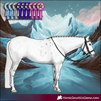 Horse Color:Gray Silver Brown Dun Leopard 