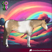 Horse Color:White Spotted Buckskin Dun Tobiano 