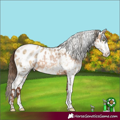 Horse Color:White Spotted Brown Pearl Dun Tobiano Blanket Brindle  and Buckskin Pearl Sabino Tobiano Blanket 