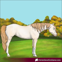 Horse Color:Buckskin Pearl Dun 