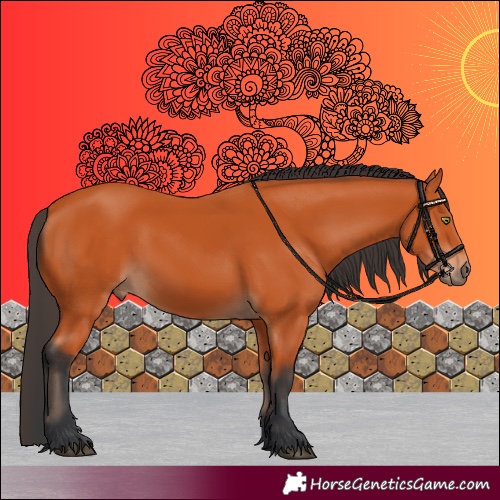 Horse Color:Bay 
