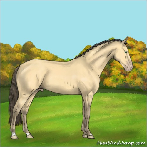Horse Color:Amber Cream Champagne 