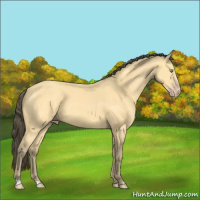 Horse Color:Amber Cream Champagne