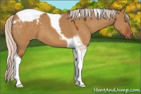 Horse Color:Silver Buckskin Dun Tobiano Varnish