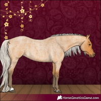 Horse Color:Silver Buckskin Roan 