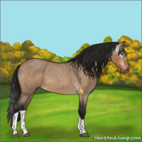 Horse Color:Gray Brown Roan Dun Tobiano Varnish Rabicano 