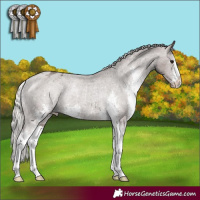 Horse Color:Silver Black Sabino Varnish Rabicano 