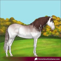 Horse Color:Platinum Chocolate Sable Champagne Onyx Splash Tobiano 