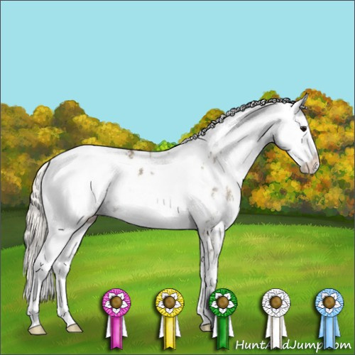 Horse Color:Silver Smoky Black Sabino Blanket Rabicano 