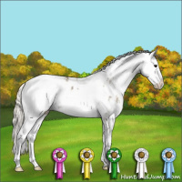 Horse Color:Silver Smoky Black Sabino Blanket Rabicano 