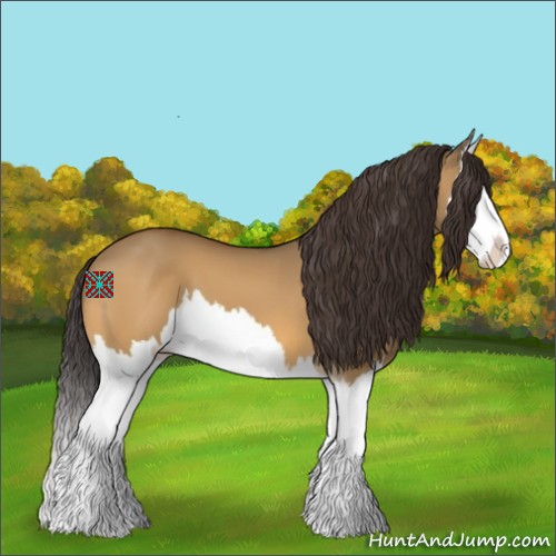 Horse Color:Buckskin Dun Splash 