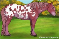 Horse Color:Watercolor Liver Chestnut Mushroom Blanket Rabicano 