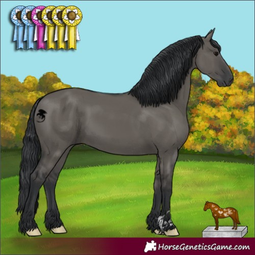 Horse Color:Grullo 