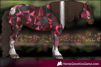 Horse Color:Liver Chestnut Tobiano 