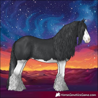 Horse Color:Black Chinchilla Splash Rabicano 