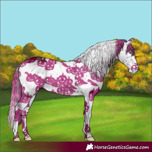 Horse Color:ERROR: UNKNOWN ANOMALY