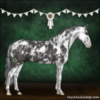 Horse Color:Black Sabino 