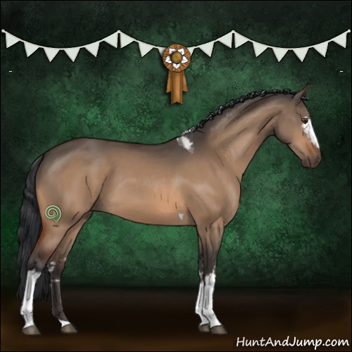 Horse Color:White Spotted Brown Dun Tobiano 
