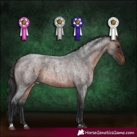 Horse Color:Brown Roan 