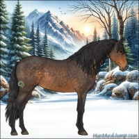 Horse Color:Buckskin Roan 