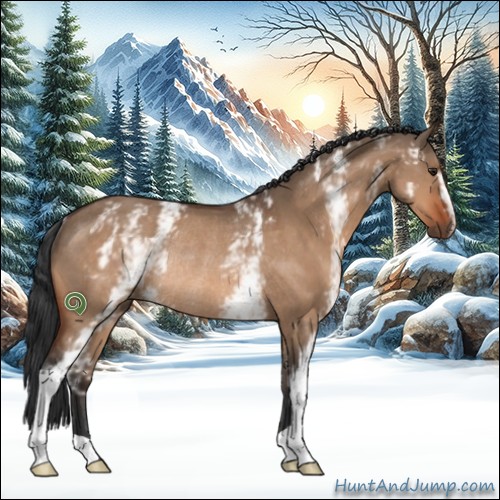 Horse Color:White Spotted Brown Dun Rabicano