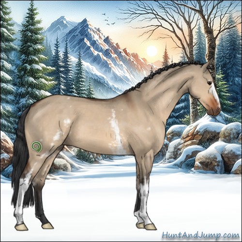 Horse Color:White Spotted Bay Dun 