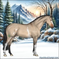 Horse Color:White Spotted Bay Dun