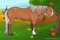 Horse Color:Silver Bay 