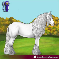 Horse Color:Silver Smoky Grullo Sabino Appaloosa 