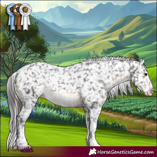Horse Color:White Spotted Brown Snowflake Varnish 