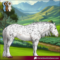 Horse Color:White Spotted Brown Snowflake Varnish 