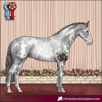 Horse Color:White Spotted Liver Chestnut Sabino