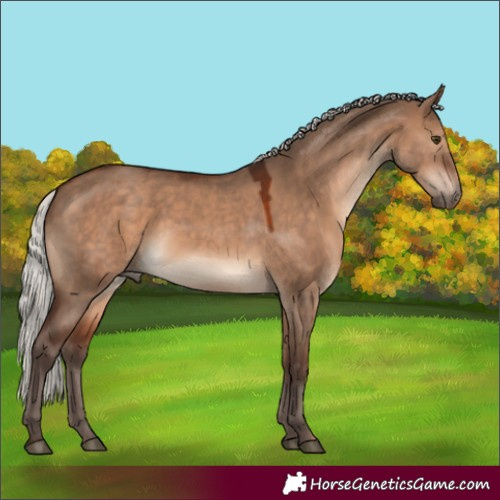 Horse Color:Silver Brown Dun 