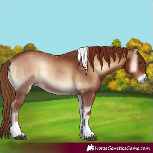 Horse Color:Red Onyx Tobiano 