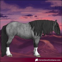 Horse Color:Blue Roan 