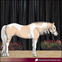 Horse Color:Silver Amber Champagne Dun Splash Tobiano 