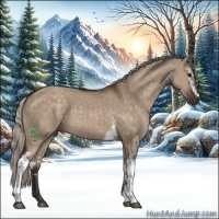 Horse Color:White Spotted Silver Brown Dun