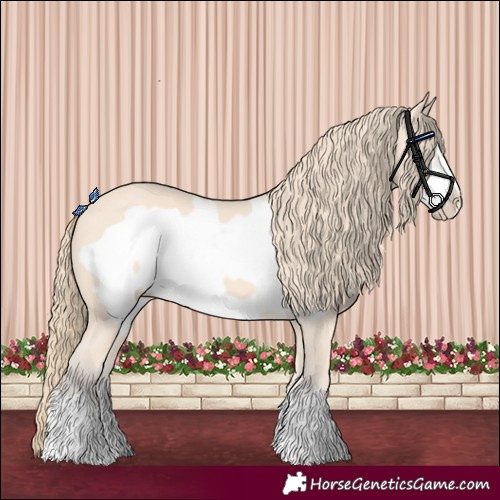Horse Color:Perlino Frame